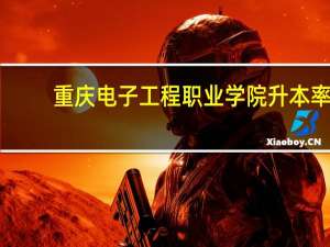 重庆电子工程职业学院升本率
