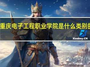 重庆电子工程职业学院是什么类别的学校