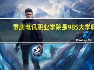 重庆电讯职业学院是985大学吗