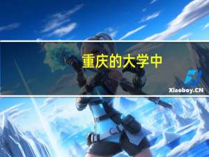 重庆的大学中，各个学校计算机专业的排名是什么