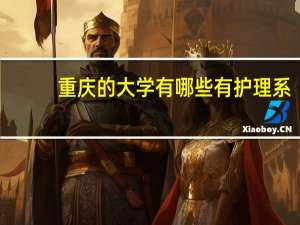 重庆的大学有哪些有护理系？