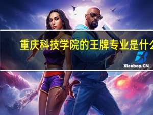 重庆科技学院的王牌专业是什么