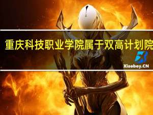 重庆科技职业学院属于双高计划院校吗