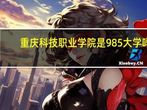 重庆科技职业学院是985大学吗
