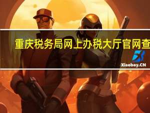 重庆税务局网上办税大厅官网查询（重庆税务局网上办税大厅官网）
