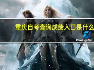 重庆自考查询成绩入口是什么
