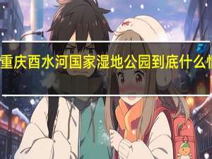 重庆酉水河国家湿地公园 到底什么情况嘞