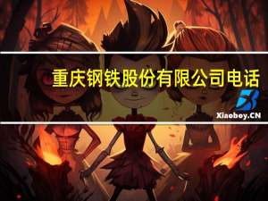 重庆钢铁股份有限公司电话（重庆钢铁股份有限公司）