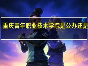 重庆青年职业技术学院是公办还是民办