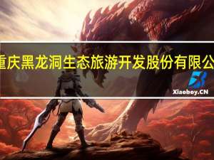 重庆黑龙洞生态旅游开发股份有限公司介绍
