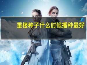 重楼种子什么时候播种最好