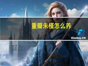 重瓣朱槿怎么养