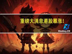 重磅大消息 港股暴涨！