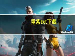 重紫txt下载