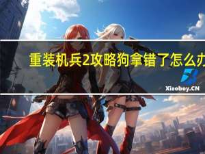 重装机兵2攻略狗拿错了怎么办（重装机兵2攻略）