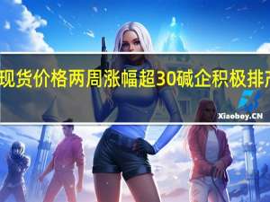 重质纯碱现货价格两周涨幅超30% 碱企积极排产应对需求增长