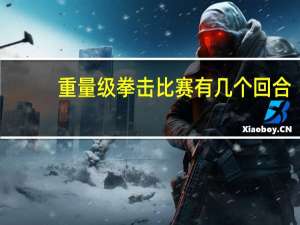 重量级拳击比赛有几个回合