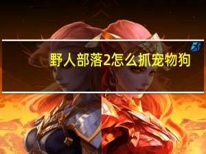 野人部落2怎么抓宠物狗