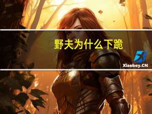 野夫为什么下跪（野夫为何入狱）