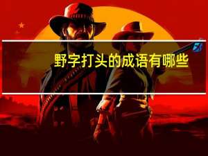 野字打头的成语有哪些