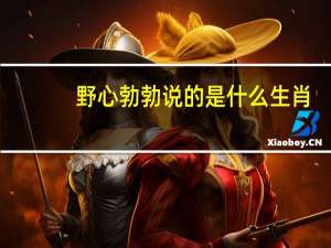 野心勃勃说的是什么生肖