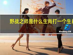 野战之师是什么生肖打一个生肖（野战之师是什么生肖）