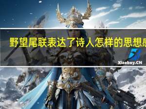 野望尾联表达了诗人怎样的思想感情
