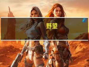 野望（关于野望的介绍）