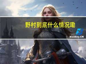 野村 到底什么情况嘞