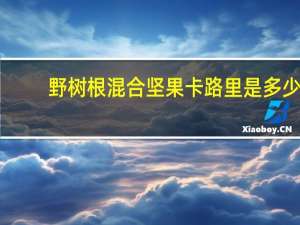 野树根 混合坚果卡路里是多少