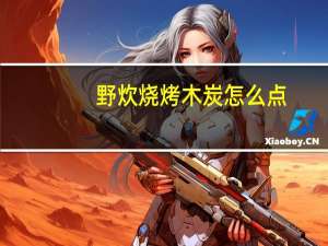 野炊烧烤木炭怎么点
