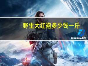 野生大红袍多少钱一斤