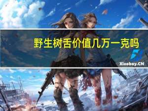 野生树舌价值几万一克吗