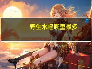 野生水蛭哪里最多