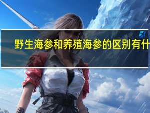 野生海参和养殖海参的区别有什么
