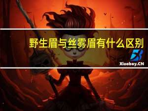 野生眉与丝雾眉有什么区别