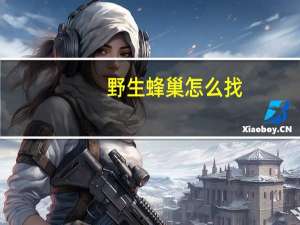 野生蜂巢怎么找