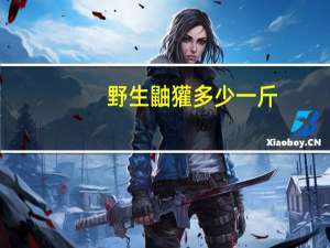 野生鼬獾多少一斤