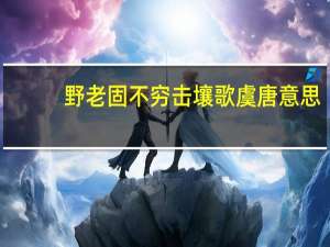 野老固不穷击壤歌虞唐意思