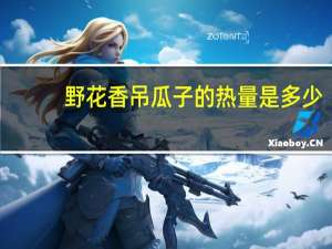 野花香 吊瓜子的热量是多少