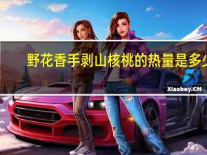 野花香 手剥山核桃的热量是多少
