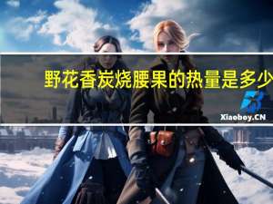野花香 炭烧腰果的热量是多少