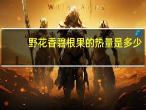 野花香 碧根果的热量是多少