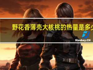 野花香 薄壳大核桃的热量是多少