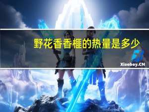 野花香 香榧的热量是多少
