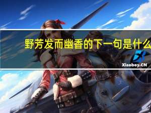 野芳发而幽香的下一句是什么