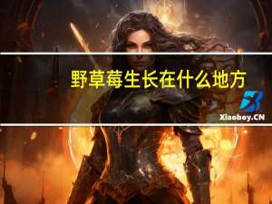 野草莓生长在什么地方