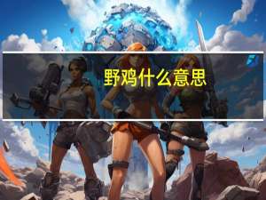 野鸡什么意思