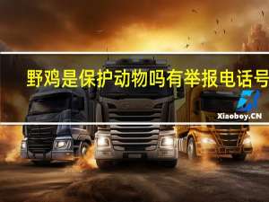 野鸡是保护动物吗有举报电话号码（野鸡是保护动物）