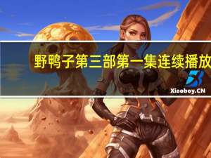 野鸭子第三部第一集连续播放（野鸭子第三部全集播放）